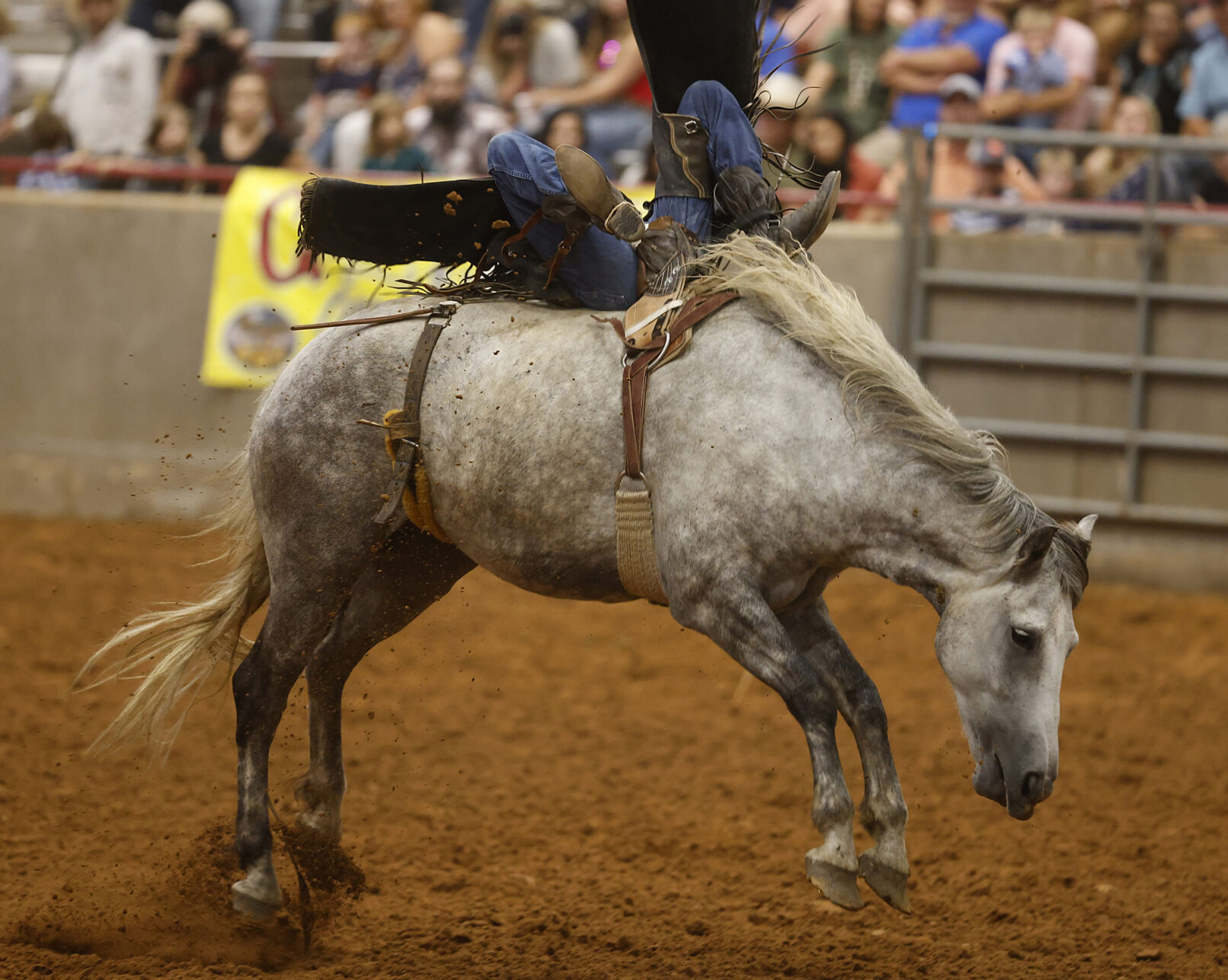 PRCA Rodeo